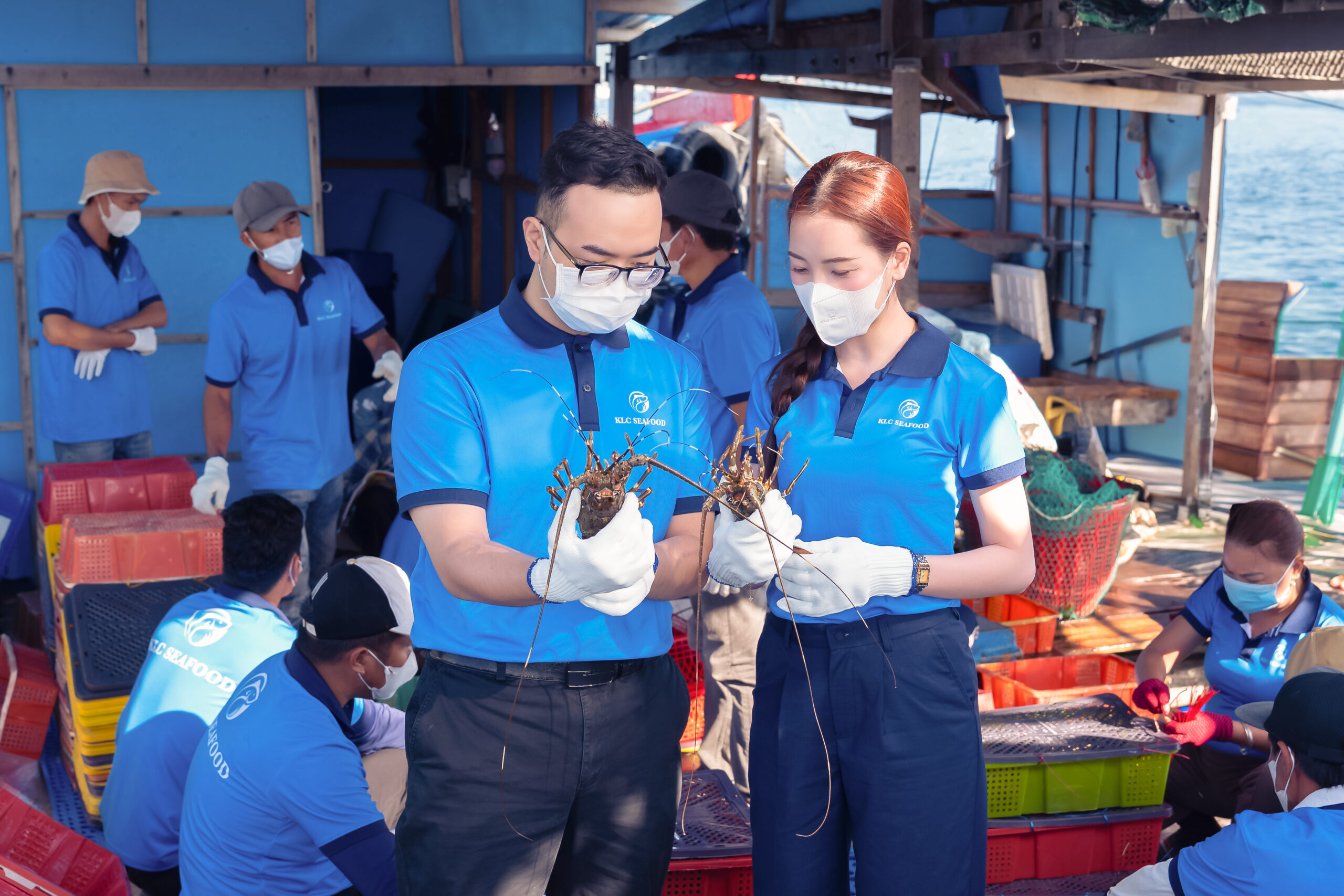 Tôm hùm xanh - Dòng sản phẩm có nhu cầu thị trường rộng