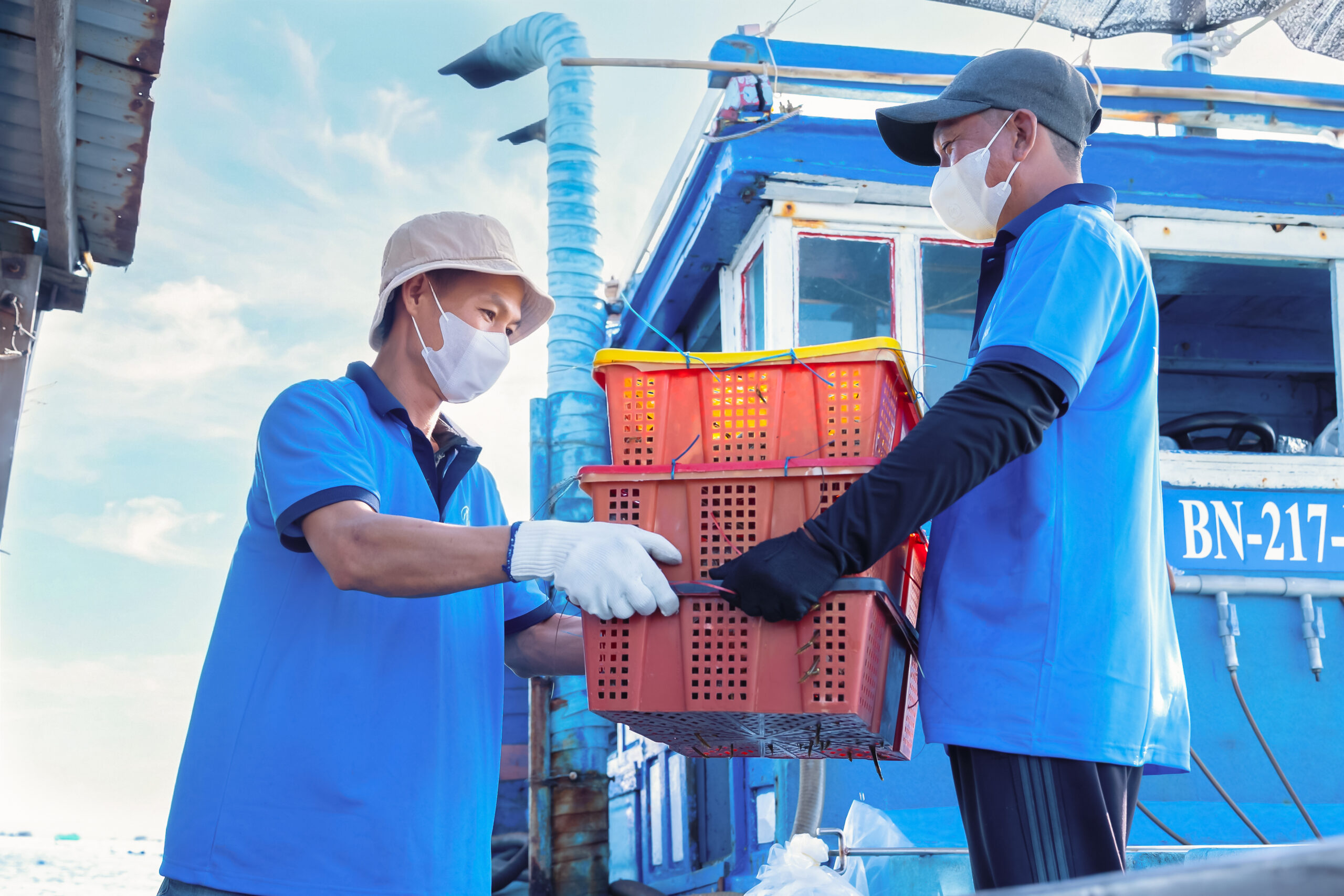 Sự khác biệt giữa tôm hùm bông và tôm hùm xanh